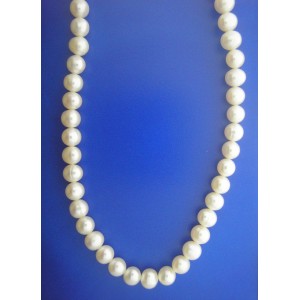 1653 6mm Fresh Water Pearl Necklace.