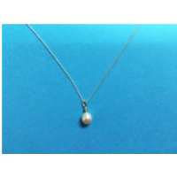 1668 Cable Chain w/Drop Pearl Pendant