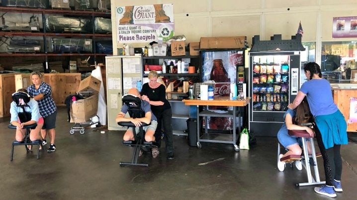 Gentle Giant Celebrates Annual Summer Wellness Week