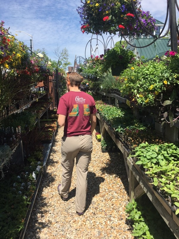 How to Move with Plants