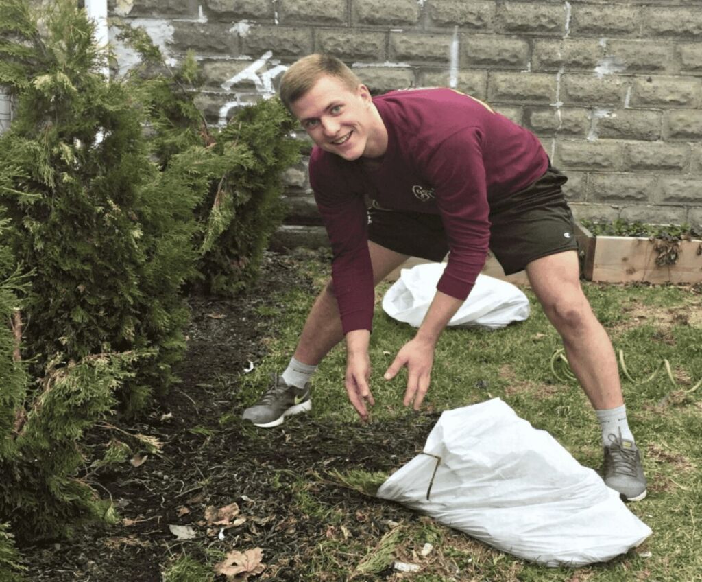 A Gentle Giant mover is dressed in a purple long-sleeve Gentle Giant branded top and black shorts. He is in the office garden. He is bent over and collecting tree branches.