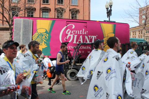 Gentle Giant Reacts to the 2013 Boston Marathon Tragedy