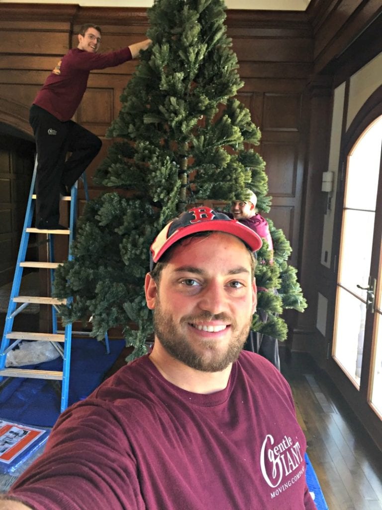 Home for the Holidays: 6 Reasons to Work for Gentle Giant Over Winter Break