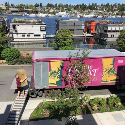 A Gentle Giant mover is carrying moving box. They are walking up the ramp connected to the back of a Gentle Giant purple and yellow moving truck.