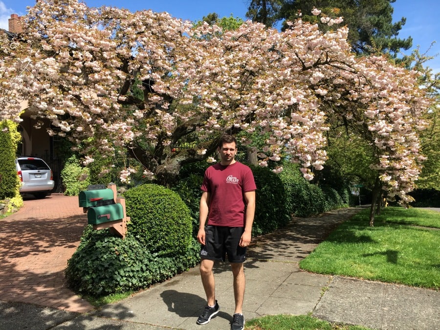 Putting the “Gentle” in Gentle Giant Moving Company