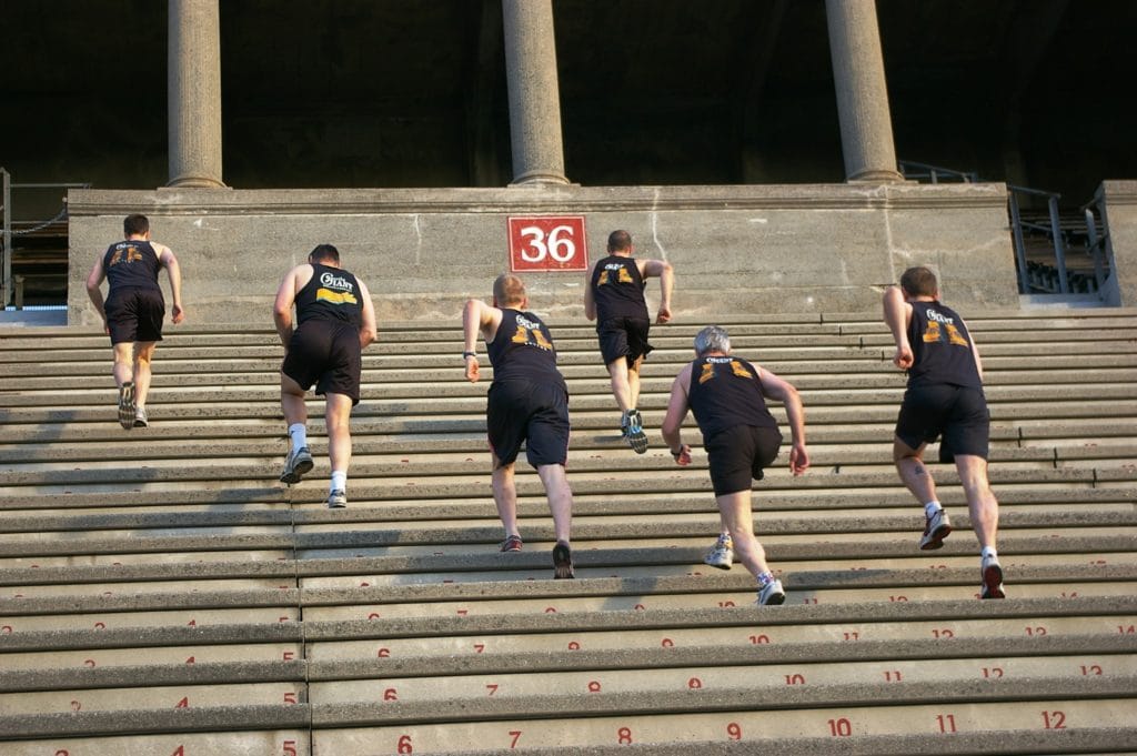 Gentle Giant Presents the 1st Annual Stadium Run World Championships