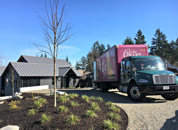 How Much Should I Tip My Movers?