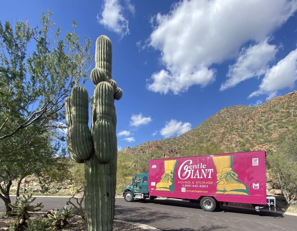 The purple Gentle Giant moving truck is parked at the bottom of Camelback Mountain in Phoenix, Arizona.