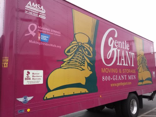 The Gentle Giant Heart in Action After Haiti Earthquake